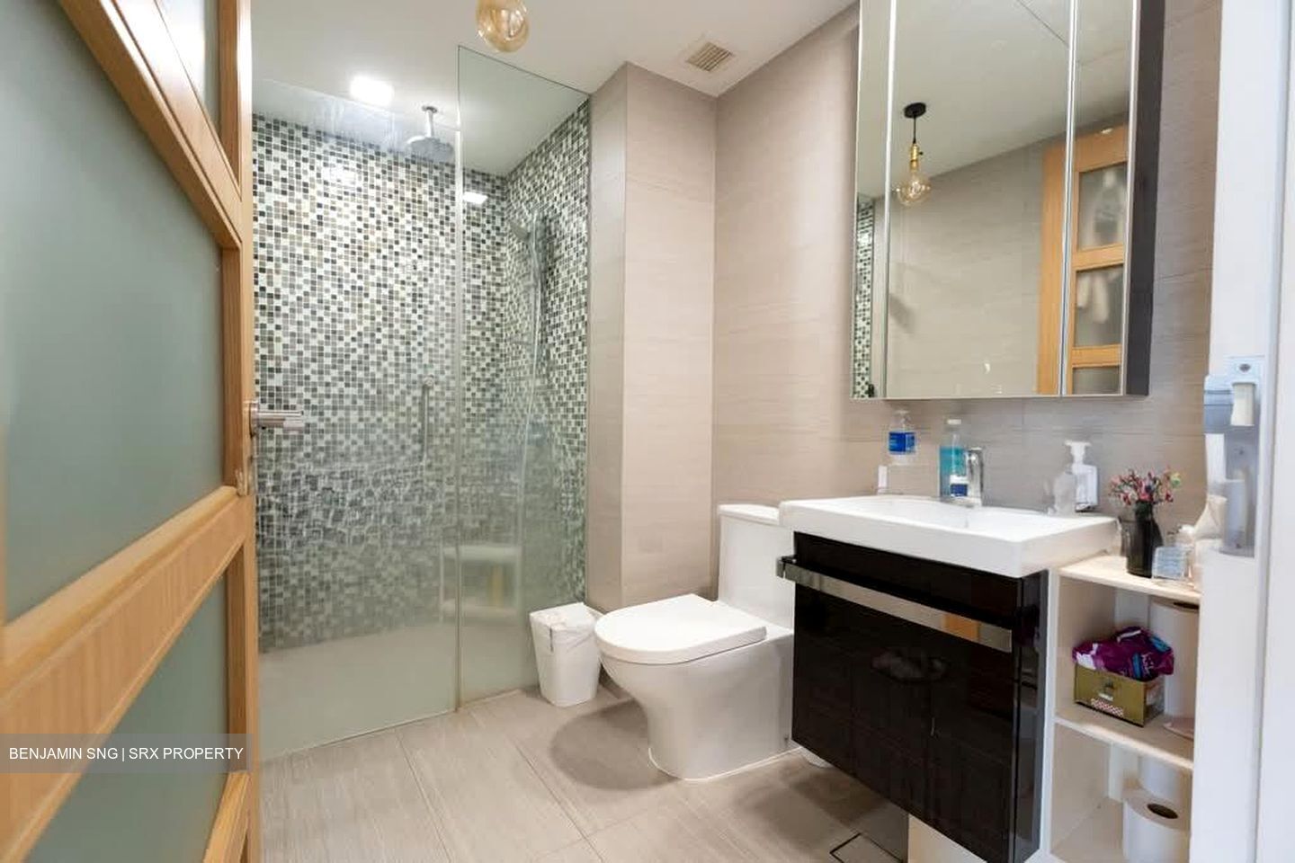 Sant Ritz (D13), Condominium #575871301